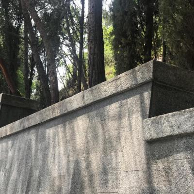 Whatsapp Image 2019 06 10 At 11.32.53